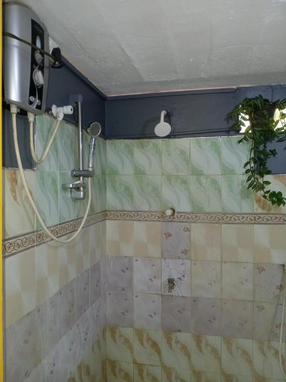 סיגירייה Near The Canal Homstay מראה חיצוני תמונה